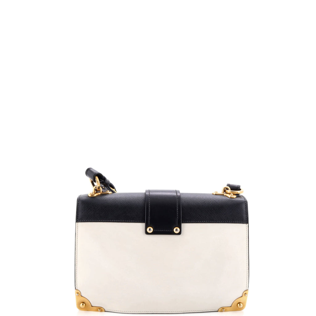Cahier Crossbody Bag Leather and Saffiano Leather Large