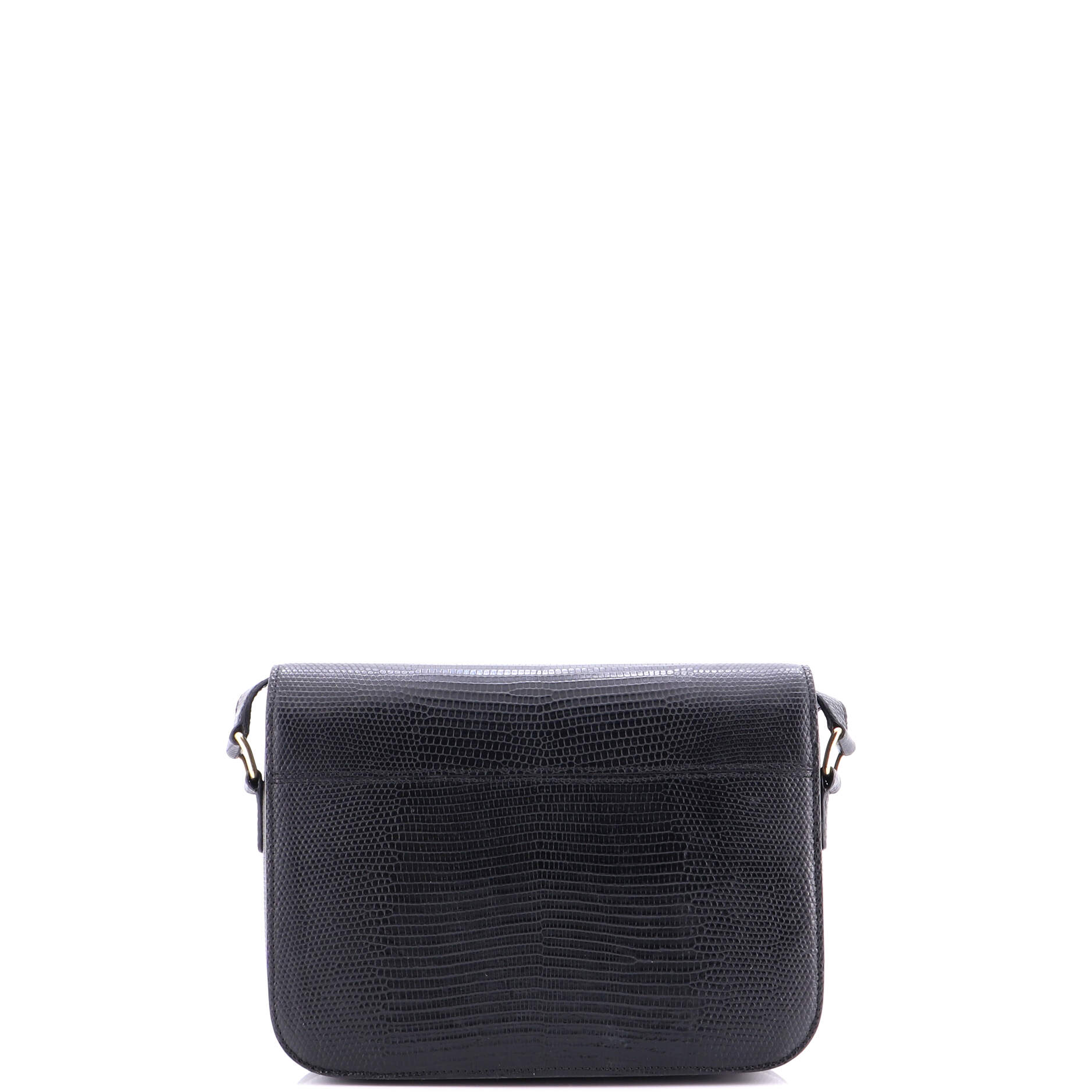 Triomphe Shoulder Bag Lizard Medium