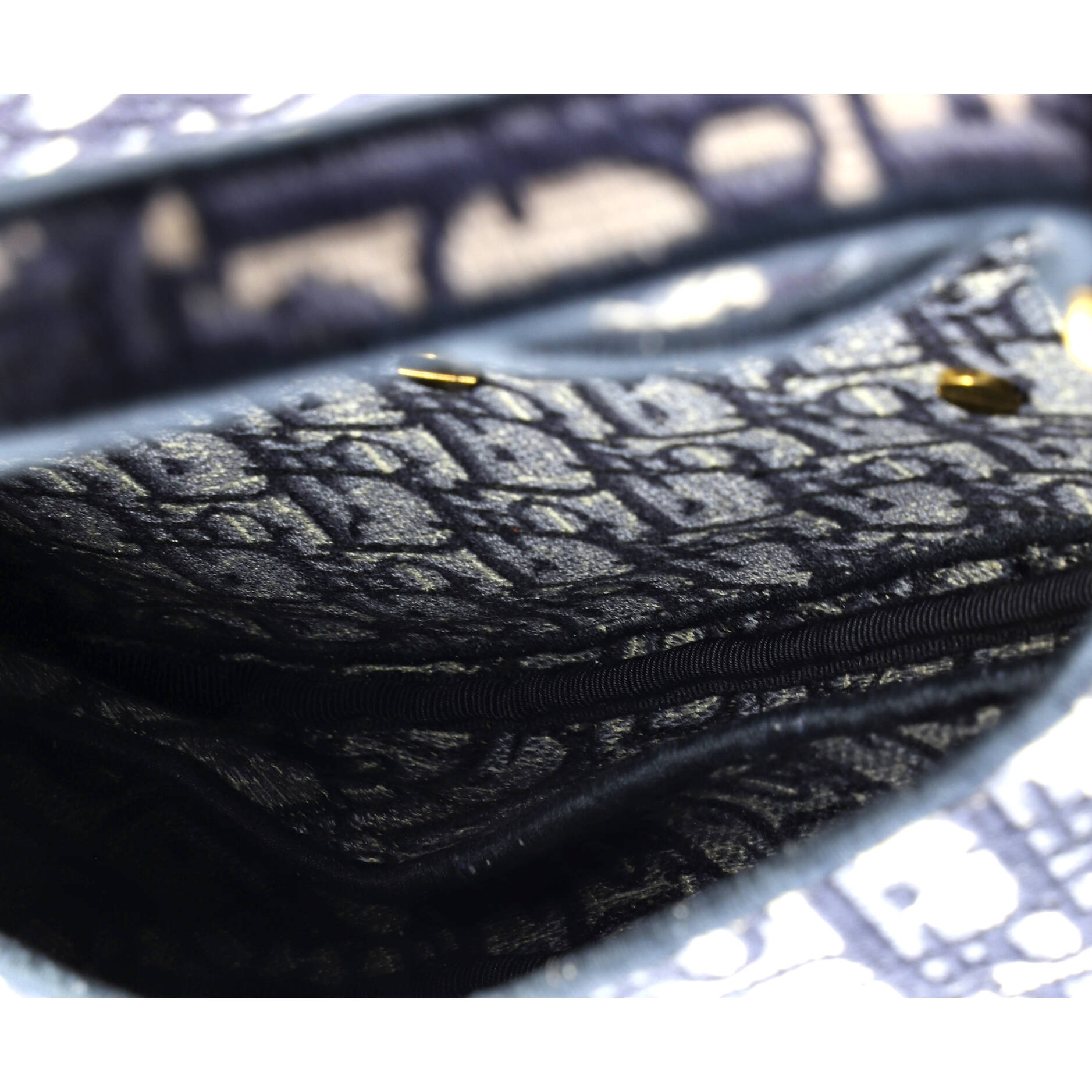 Saddle Handbag with Strap Oblique Canvas Medium
