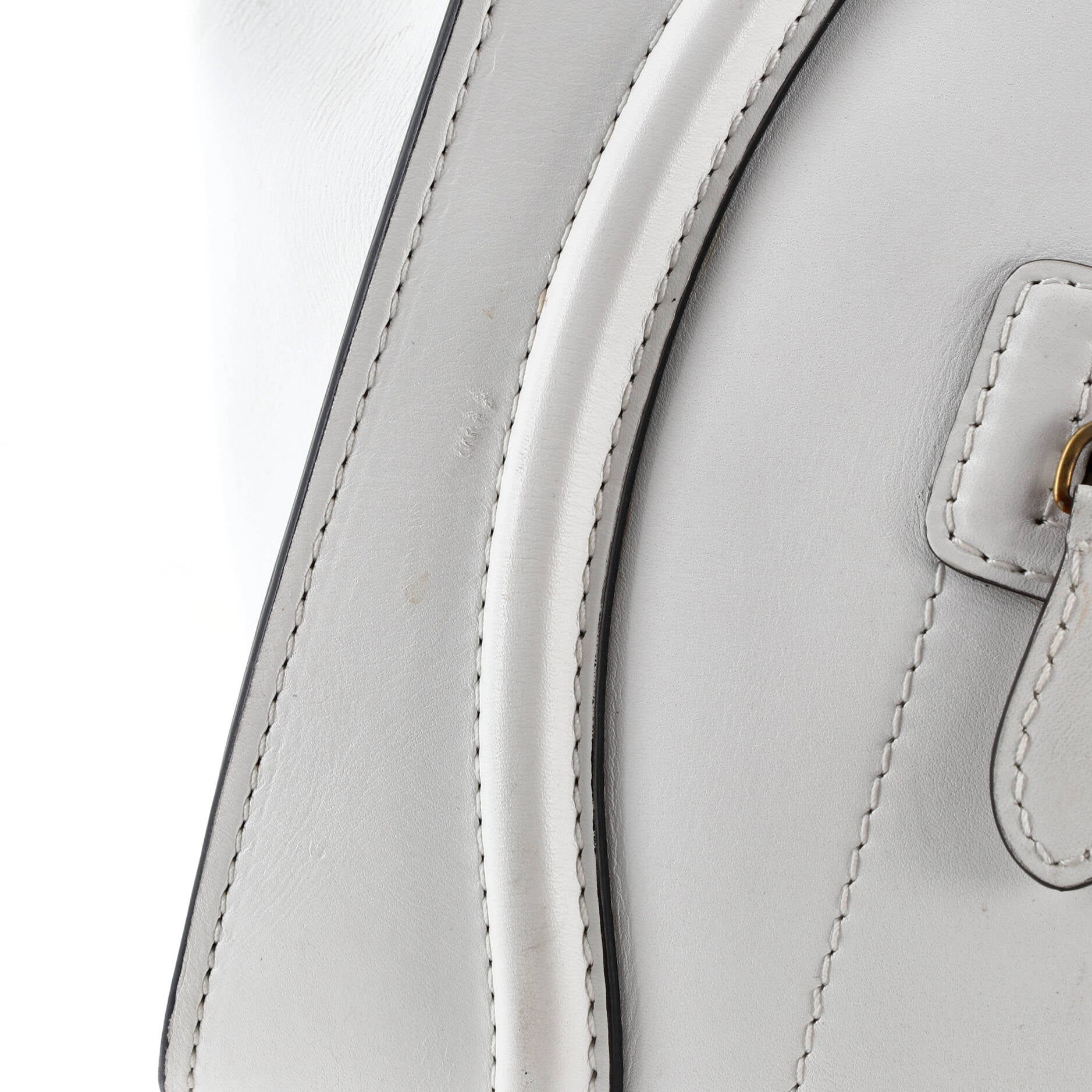 Bicolor Luggage Bag Leather Mini