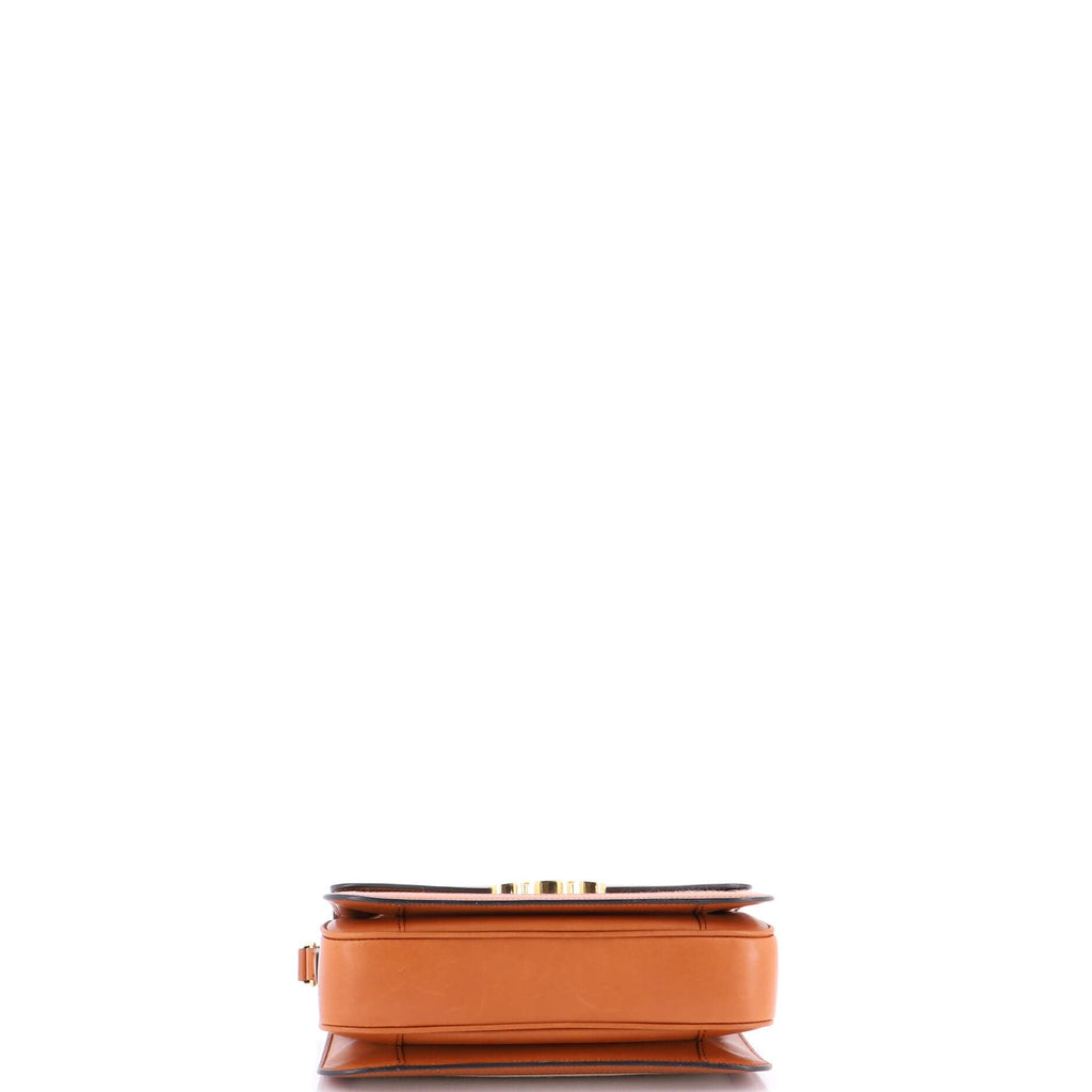 Triomphe Shoulder Bag Canvas with Leather Medium