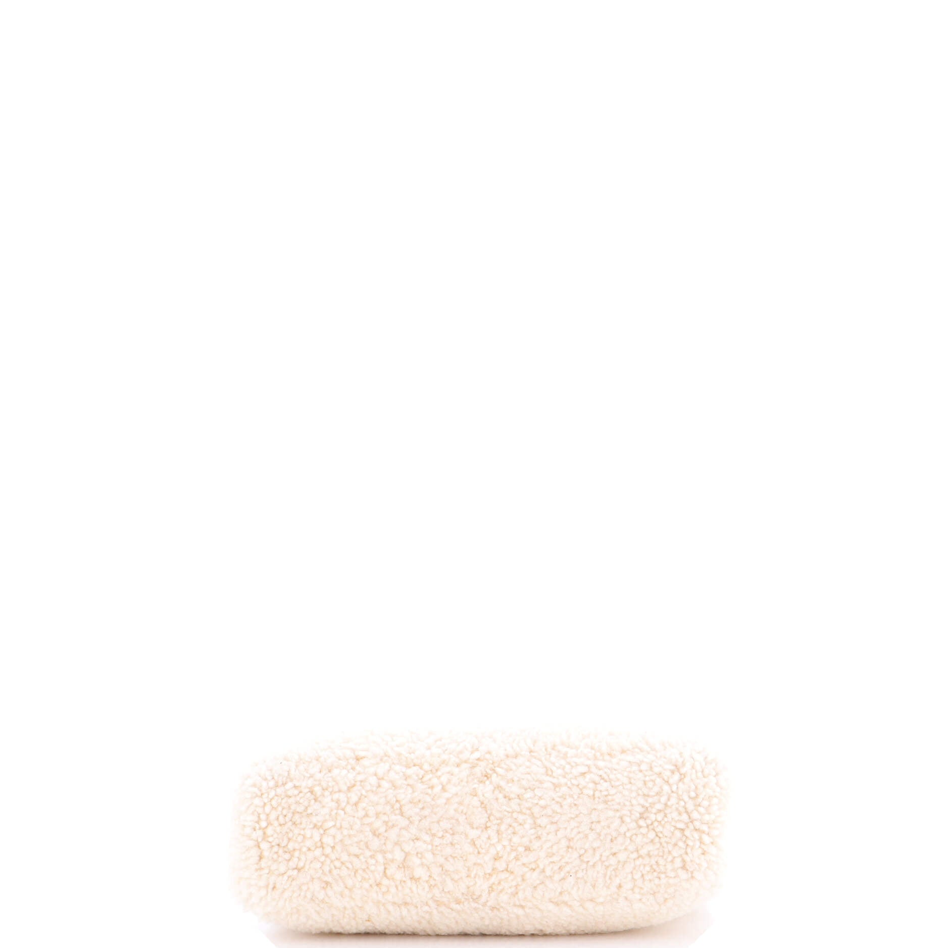 Re-Edition 2000 Hobo Shearling Mini
