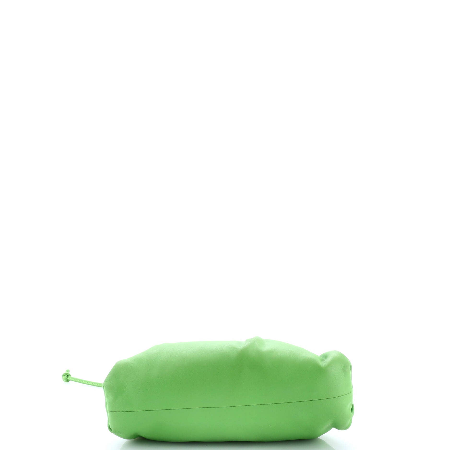 The Pouch Leather Mini