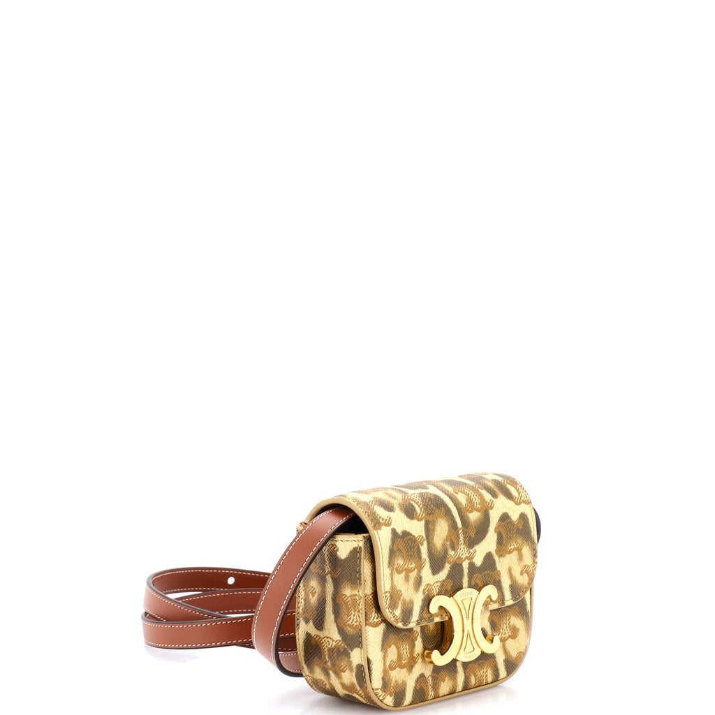 Claude Shoulder Bag Printed Triomphe Coated Canvas Mini