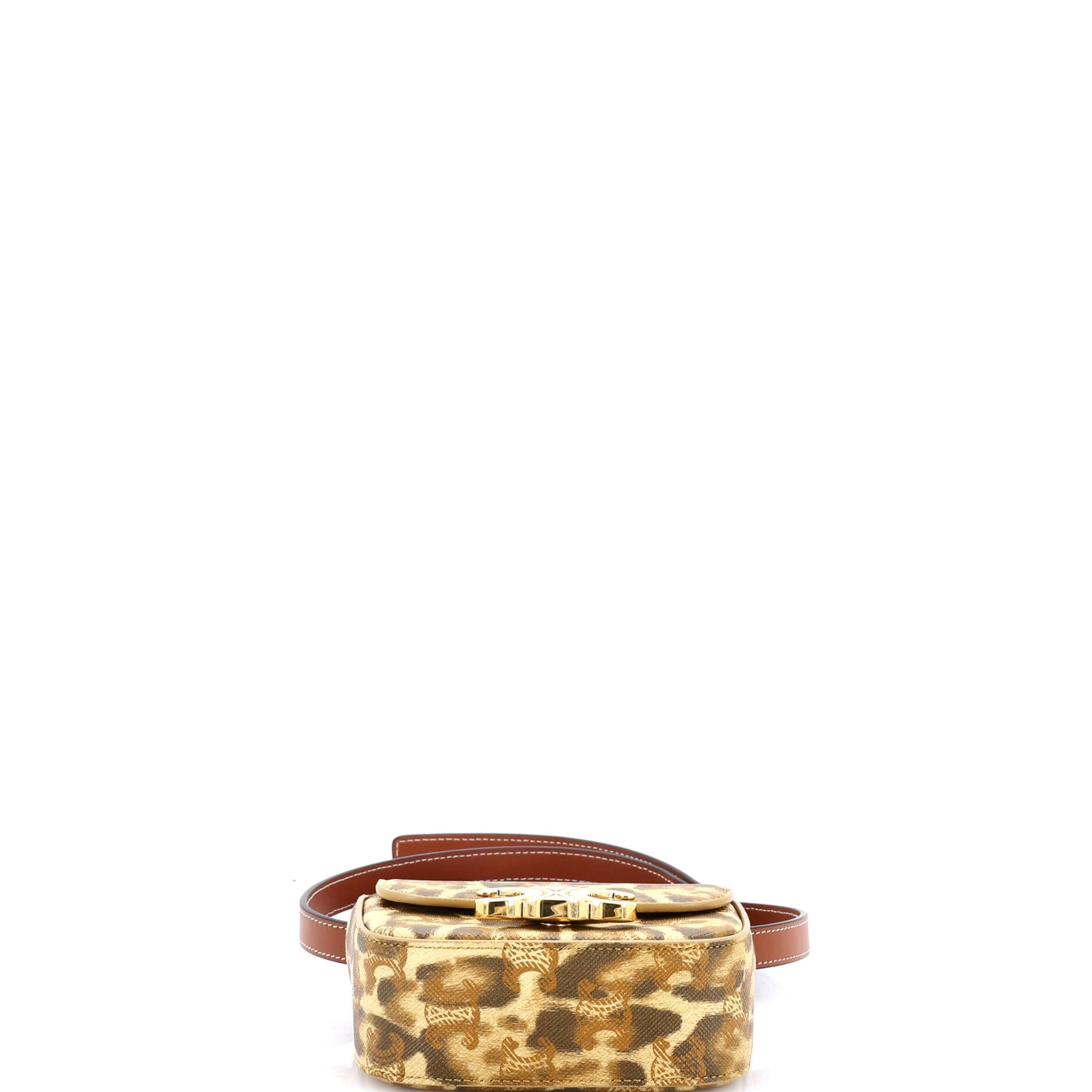 Claude Shoulder Bag Printed Triomphe Coated Canvas Mini