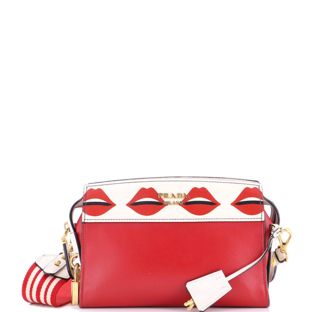 Esplanade Crossbody Bag Printed Saffiano and City Calf Small