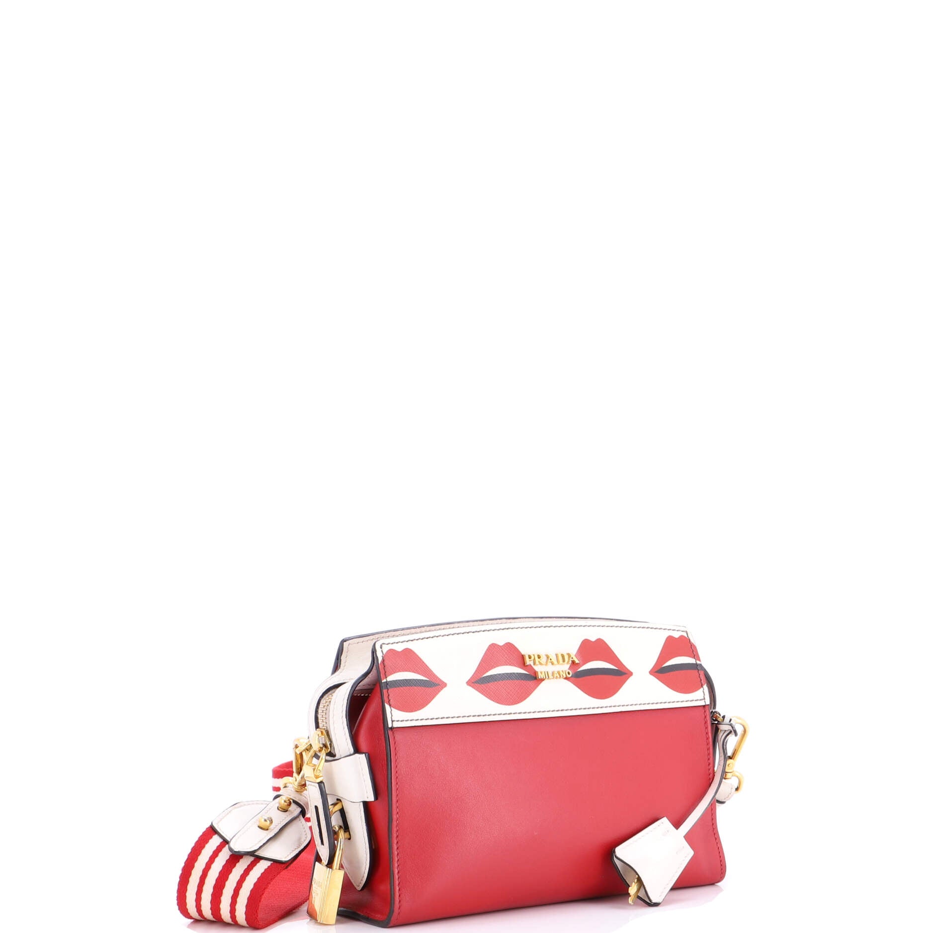 Esplanade Crossbody Bag Printed Saffiano and City Calf Small
