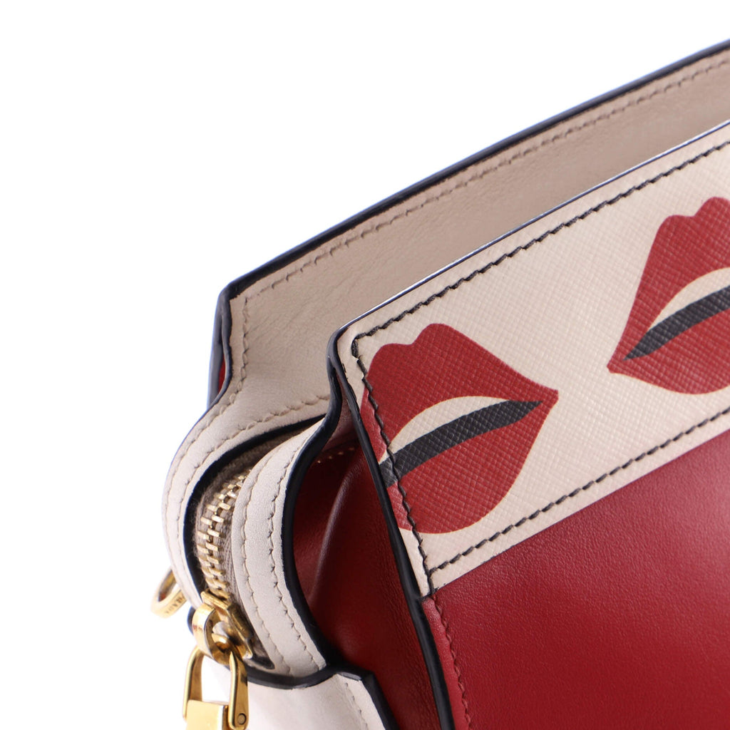 Esplanade Crossbody Bag Printed Saffiano and City Calf Small