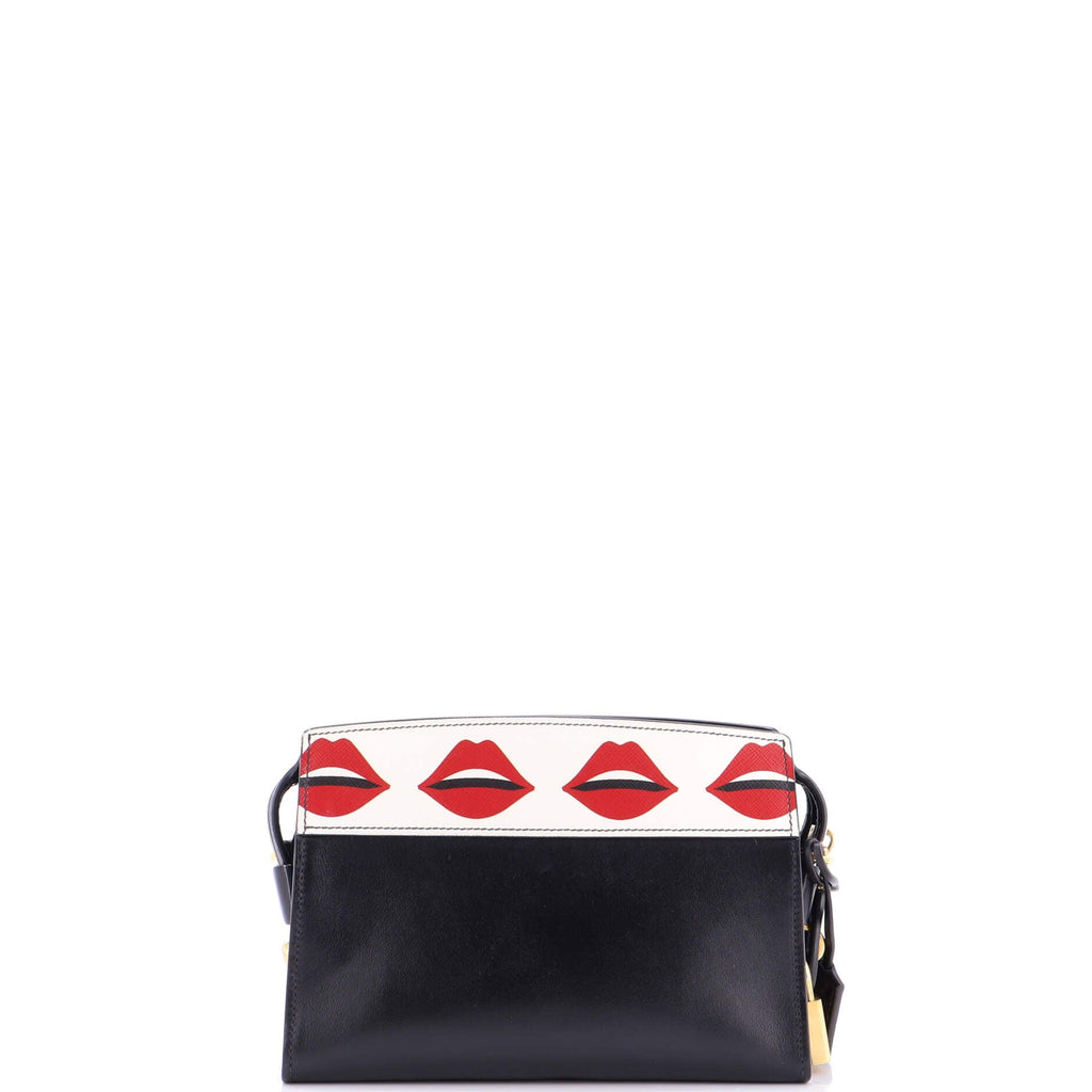 Esplanade Crossbody Bag Printed Saffiano and City Calf Small