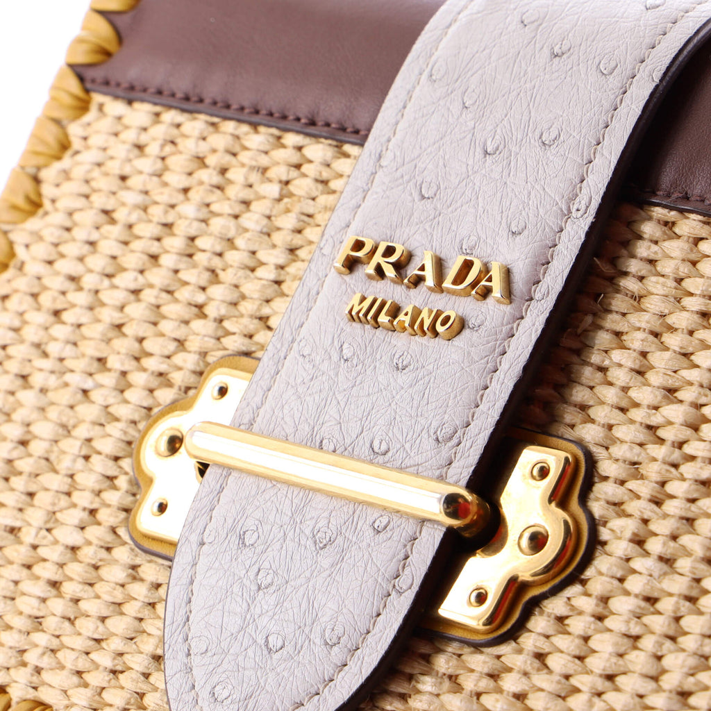 Cahier Crossbody Bag Straw and Leather with Ostrich Small