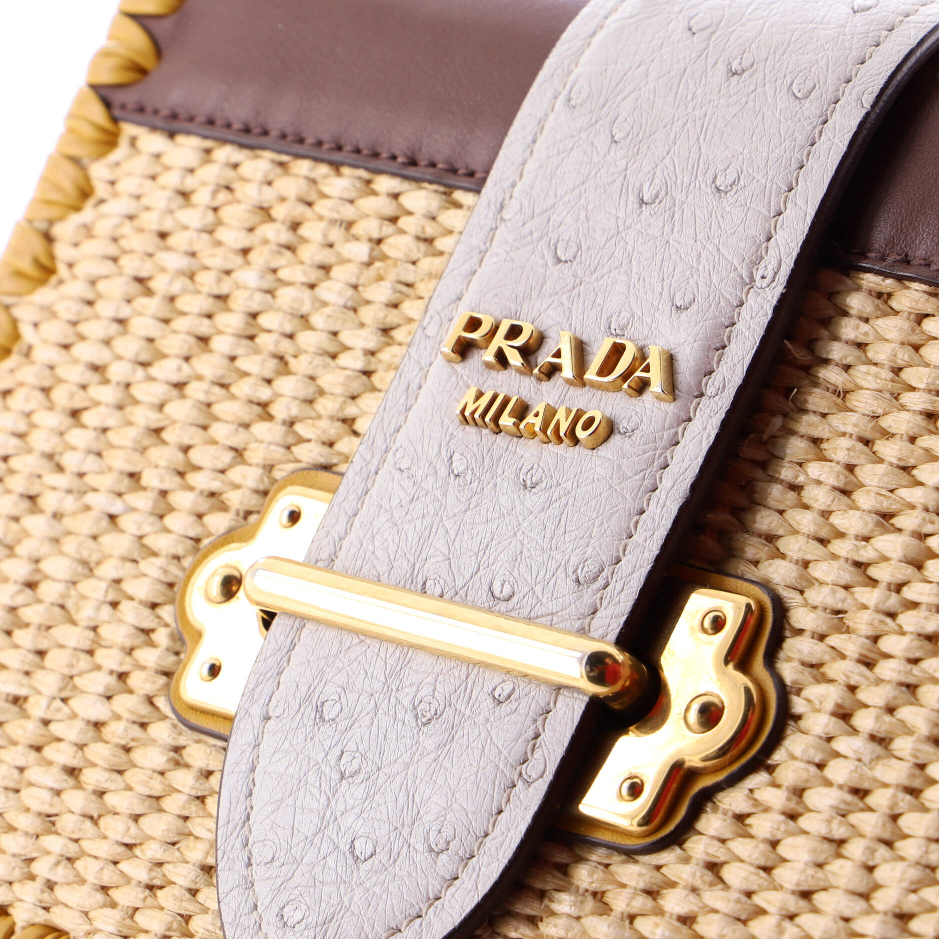 Cahier Crossbody Bag Straw and Leather with Ostrich Small