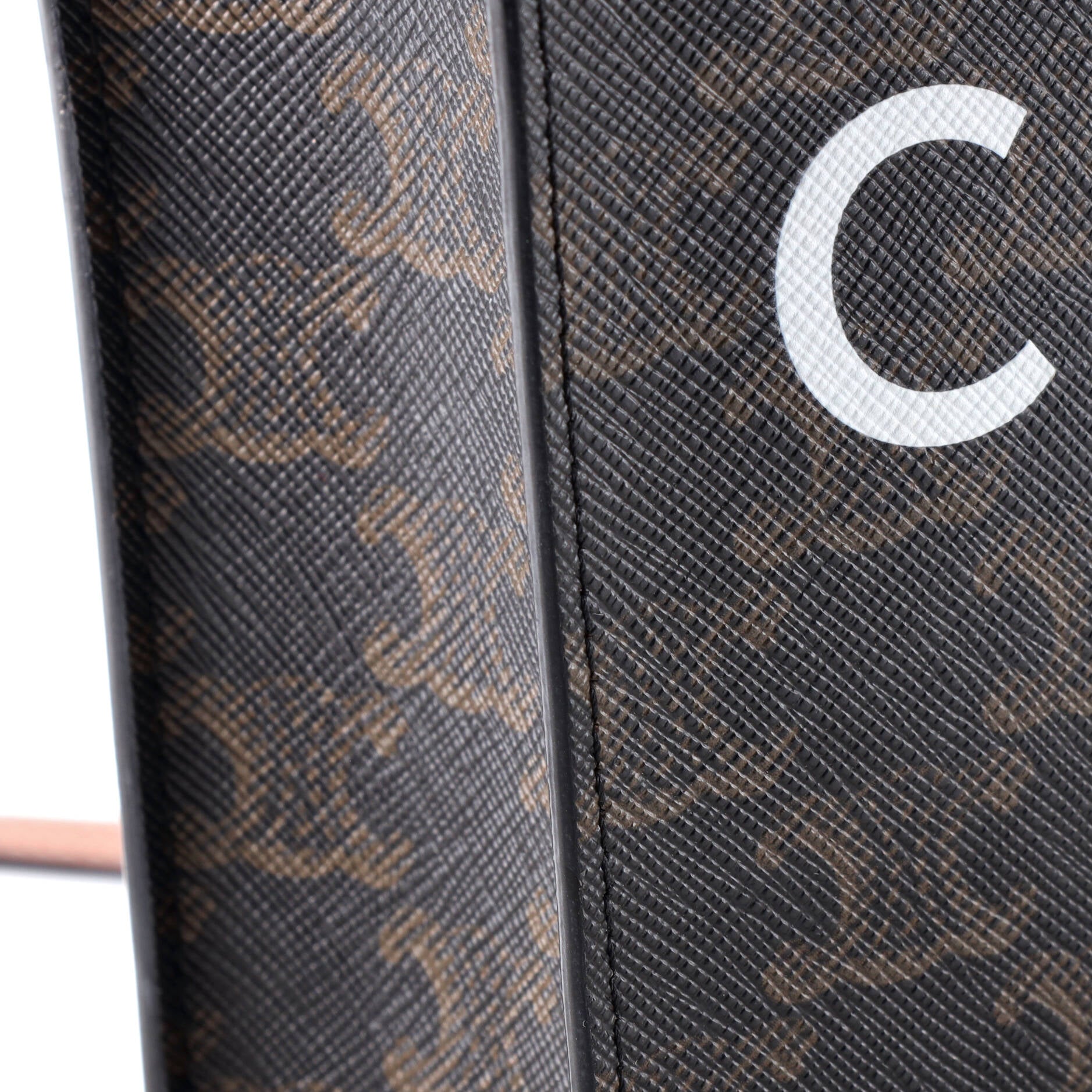Vertical Cabas Tote Triomphe Coated Canvas Mini