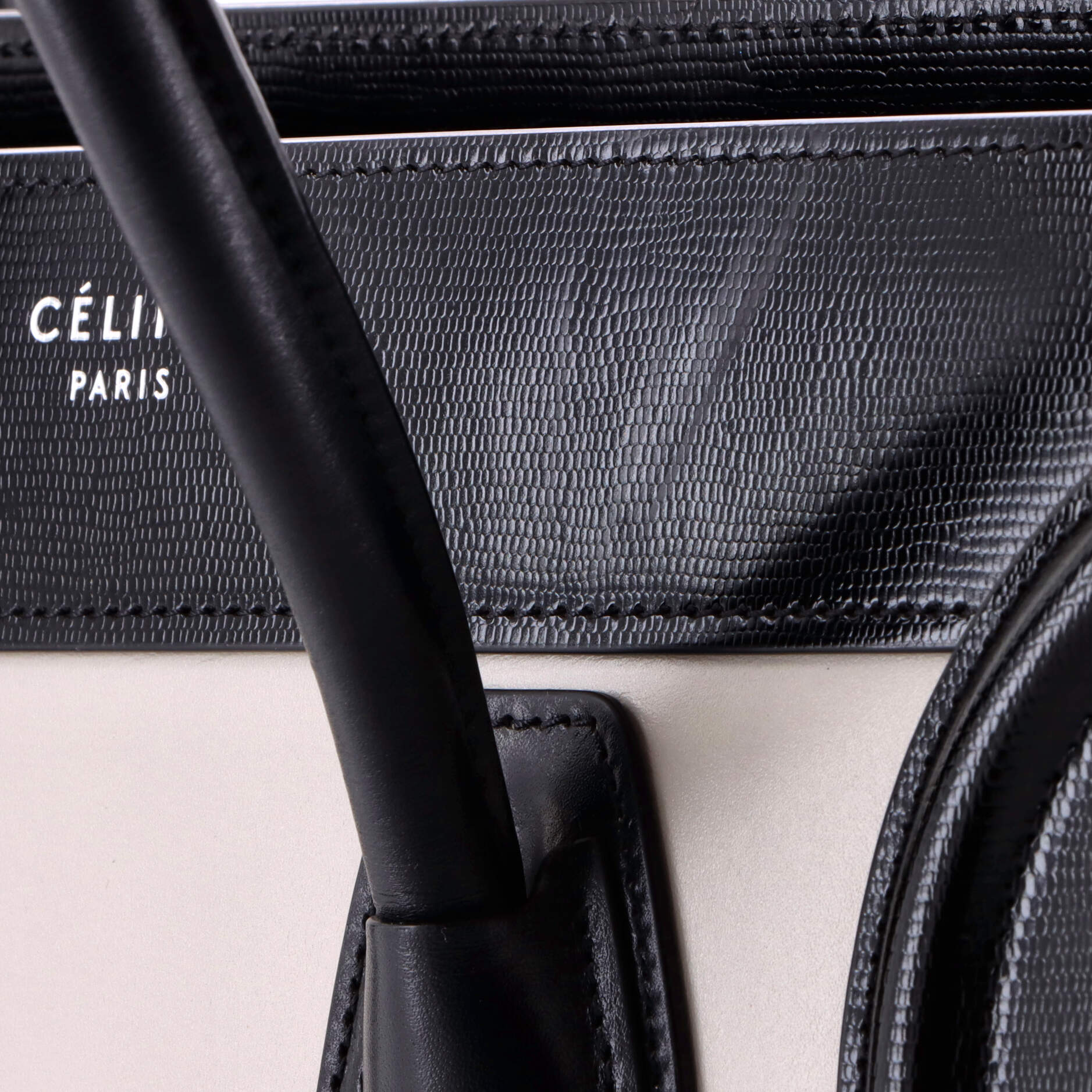 Bicolor Luggage Bag Lizard and Leather Micro
