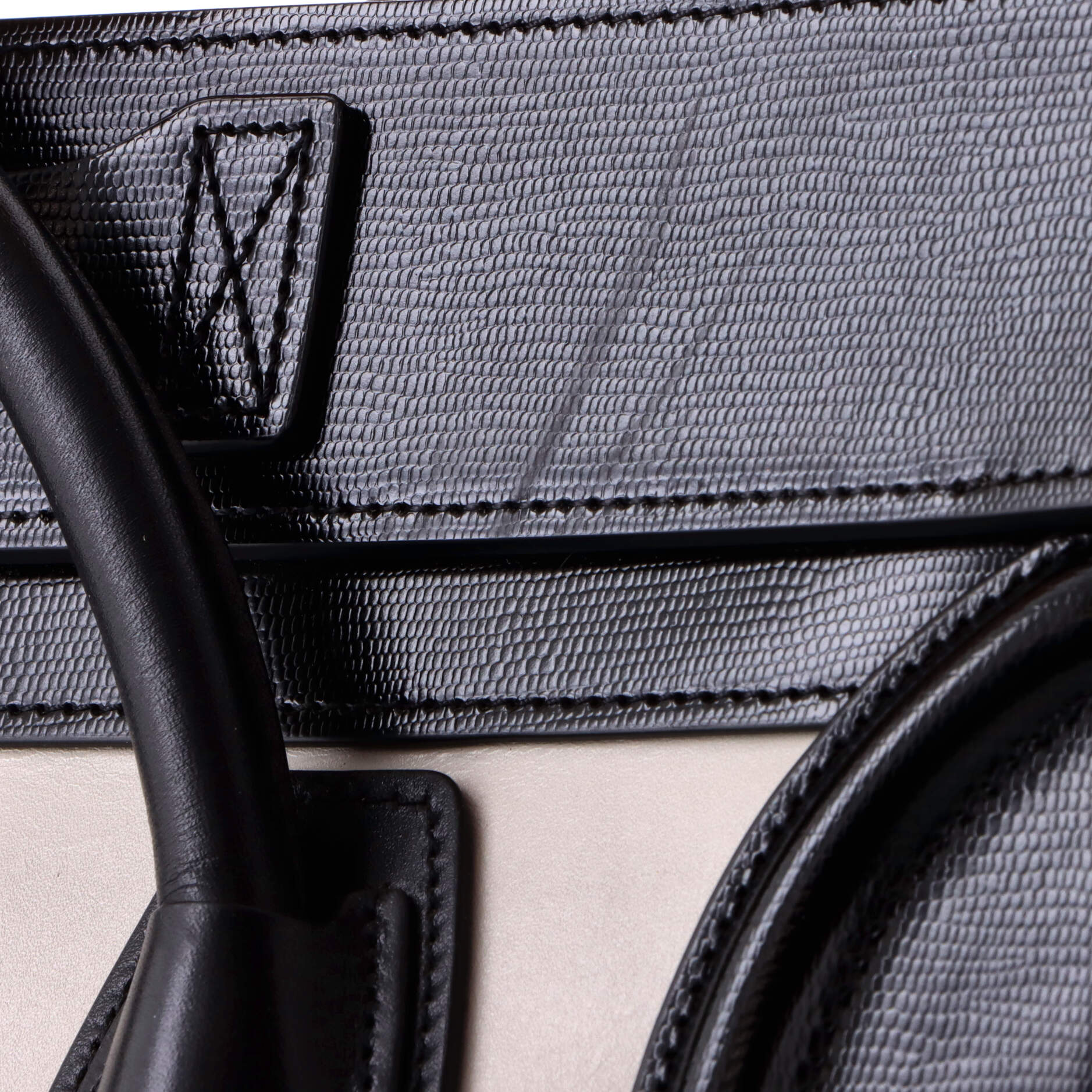 Bicolor Luggage Bag Lizard and Leather Micro