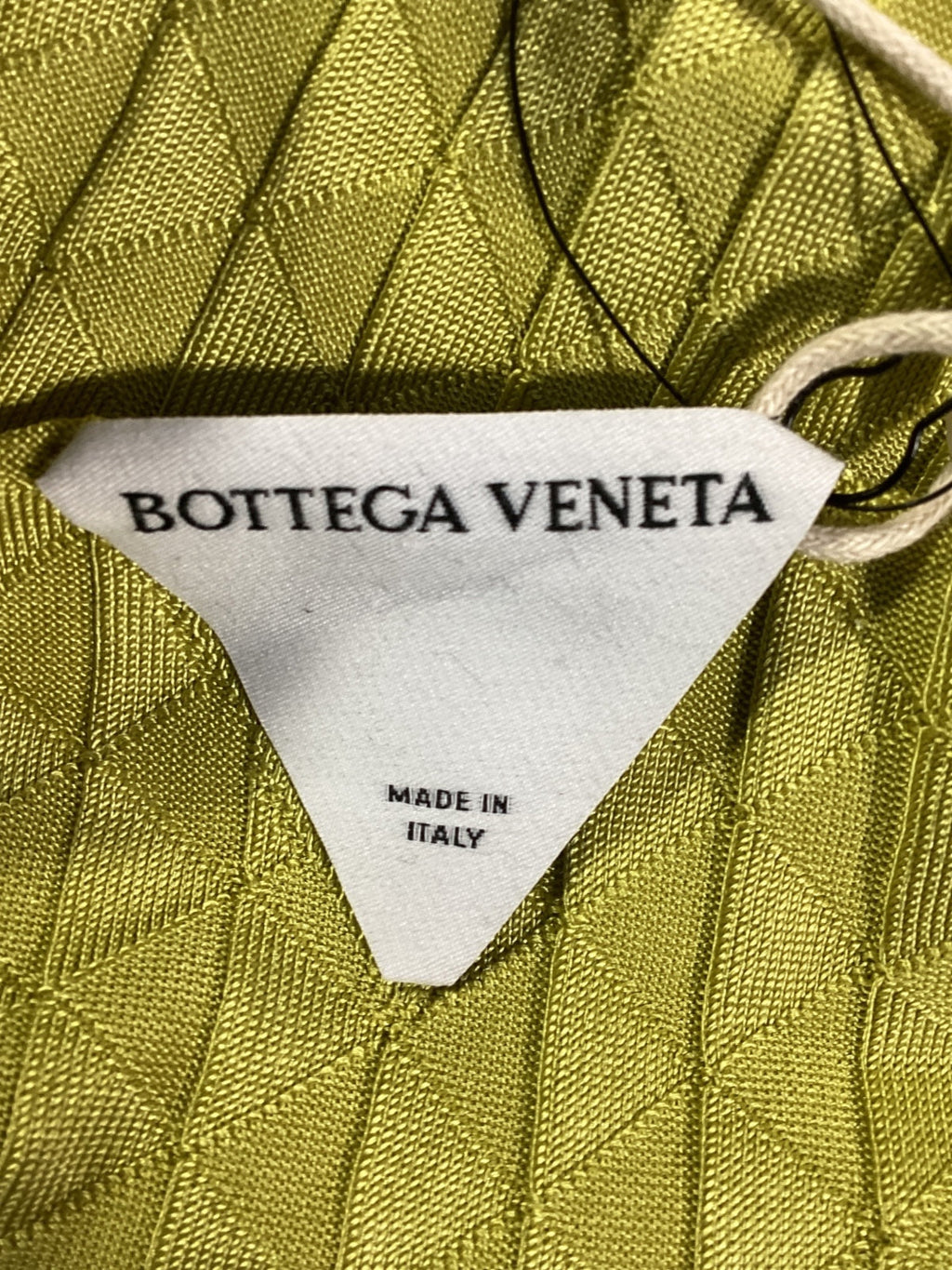 Bottega Veneta Dragon Underpinned Turtleneck Pullover in Green Silk