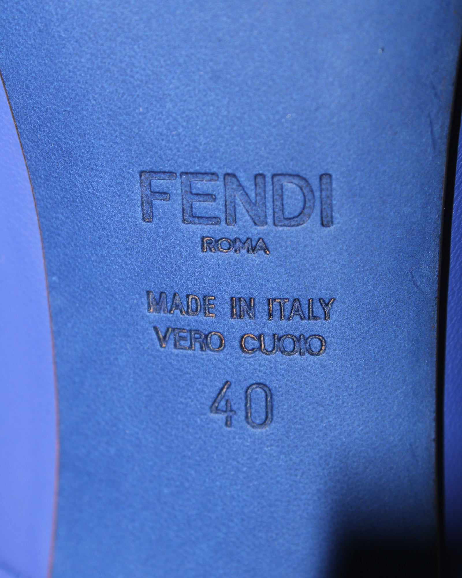 Fendi Pointed Toe Pumps in Blue Leather