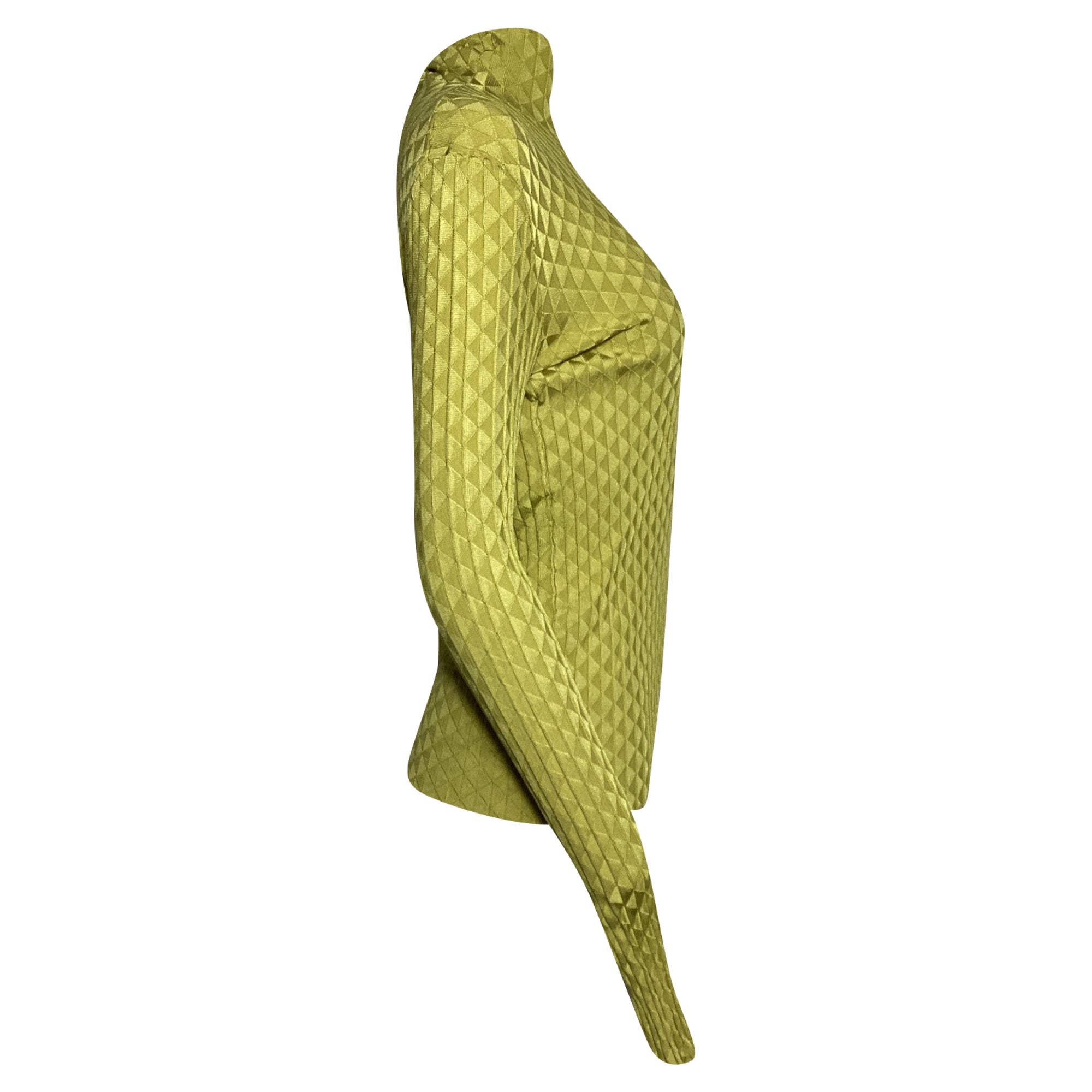 Bottega Veneta Dragon Underpinned Turtleneck Pullover in Green Silk