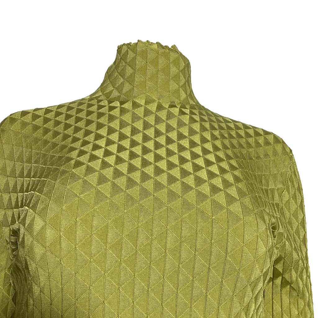 Bottega Veneta Dragon Underpinned Turtleneck Pullover in Green Silk
