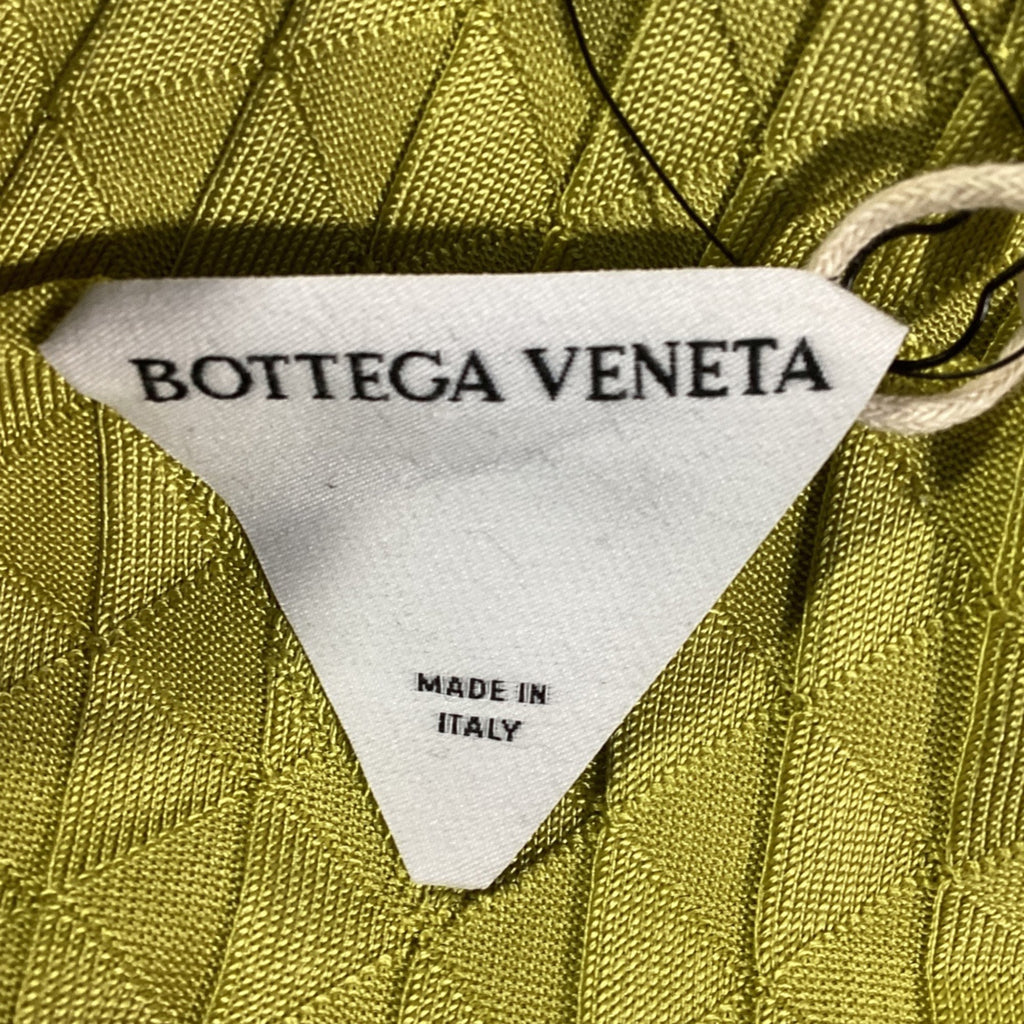 Bottega Veneta Dragon Underpinned Turtleneck Pullover in Green Silk