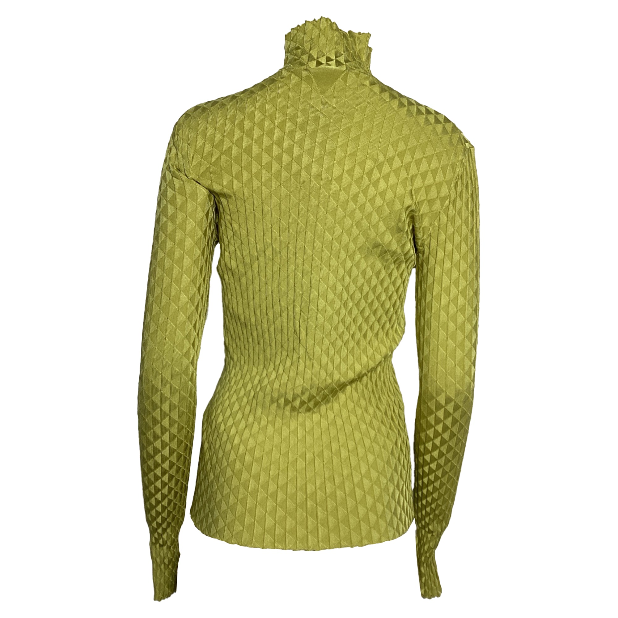 Bottega Veneta Dragon Underpinned Turtleneck Pullover in Green Silk